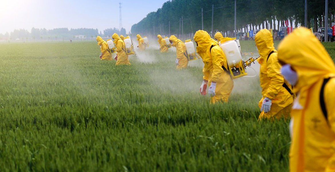 Profesyonel İlaçlama Nasıl Yapılır? Adım Adım Uygulama Süreci